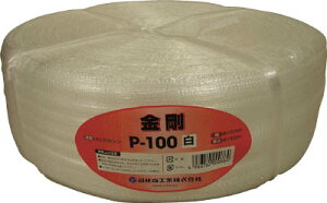 cJT 茋pPPicJTe[vjP|100W yP-100Wz([vEЂEЂ)