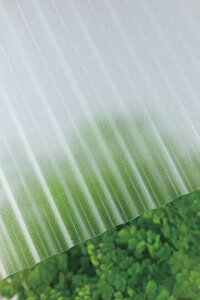 ^L |JgMJbg 32g 6 4010NAX[Ny235624z(zEHpԎd؂Eg)