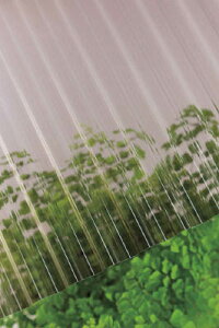 ^L |Jg 32g 6 810uYy217682z(zEHpԎd؂Eg)