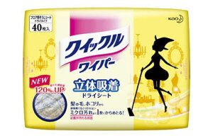 Kao NCbNCp[ ̋zhCV[g 40y281999z(|piEbv)