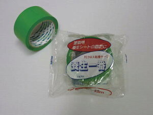 e {165V GR 50mm×25my165V-GR50z(e[vpiE{e[v)