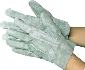 xmO[u IC661 ICȔwDy5336z(Ǝ܁Ev)