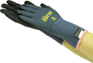 g ANeBuObvi10oj Sy910-Sz(Ǝ܁Eׂ~ߔw)