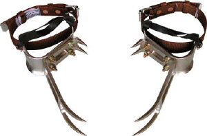 c ؓoyFR-100-BXz(یES)yz