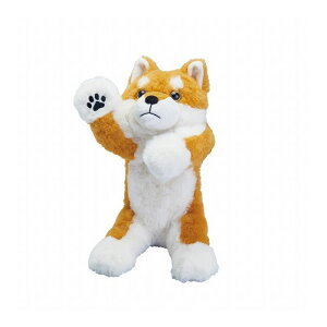 LOW |[Y[ y|[` PZ2026