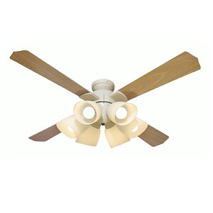 V[Ot@Cg R LEDdt Ɩ QJ-46WW6RCLE6  ȃGl(s)yz