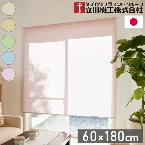 @H 2Ռ h [XN[ 60cm 180cm eBII { ^`JuCh  k Ԏd؂ Vt ʕt vR[h Ռ(s)yz