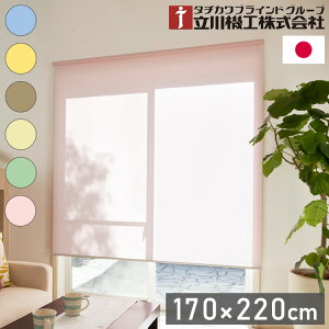 @H n EHbVu [XN[ 170cm 220cm eBII { ^`JuCh  k Ԏd؂ Vt ʕt vR[h(s)yz