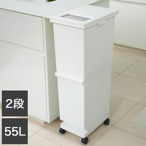 �V�P����������� ���j�[�h ���ʃX����2�i 55SWH �S�~�� �R���p�N�g ������� 55L �z���C�g(����s��)�y���������z