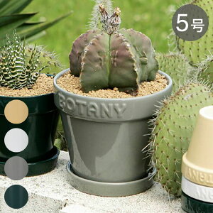 DULTON _g Aؔ {^j[|bg 5 K[f|bg zCg 킢  AJ Be[W v[g Mtg v`Mtg(s)