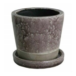 DULTON �_���g�� �t�����[�|�b�g �J���[ �O���[�Y�h �|�b�g 5���� ���C�g�p�[�v�� ���킢�� ������� �A�����J��(����s��)