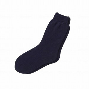 �_�ː��N ��������肭������^�C�v �ނ��ݗp �a�m �l�C�r�[(����s��)