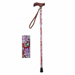 EFt@ CtXebL ܂肽ݐLk^ ԃC(s)yz