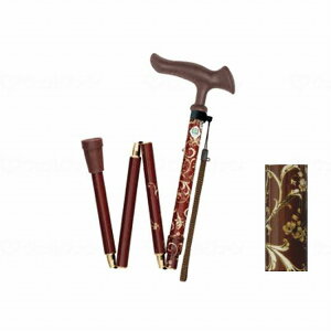 tWz[ 邪t@II ܏ AxXN(s)yz