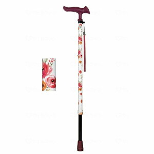 tWz[ 邪t@II Lk ԕzCg(s)yz