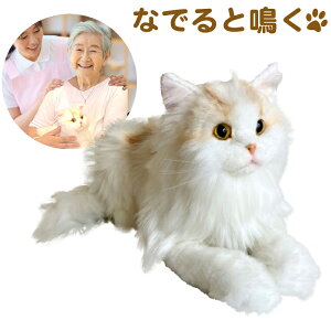 ȂłȂł˂EX GKX ʂ   TCxA L 킢  v[g qǂ N R~jP[V  FmǗ\h b q  m 6