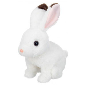 ݂݃p^p^ bL[ C ߋ  NX}Xv[g yz