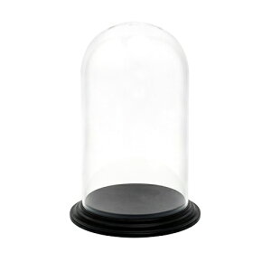 n}[OX Ȃ KX |J[{l[g PVfBXvCJo[Zbg18(21.5)xH30(2.5) ԍ Ԋyz