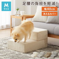 ドッグステップ 2段 階段 滑り止め 幅40cm ペットステップ 踏み台 ステップ 室内犬 ペット用品 ペットス…