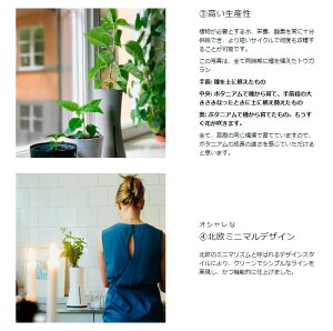 楽天市場 スマート水耕栽培キット ボタニアム 野菜 華 花 植物 飼育 部屋 家 料理 育てる 栽培 花瓶 植木 植木鉢 おしゃれ スマート 送料無料 リコメン堂インテリア館