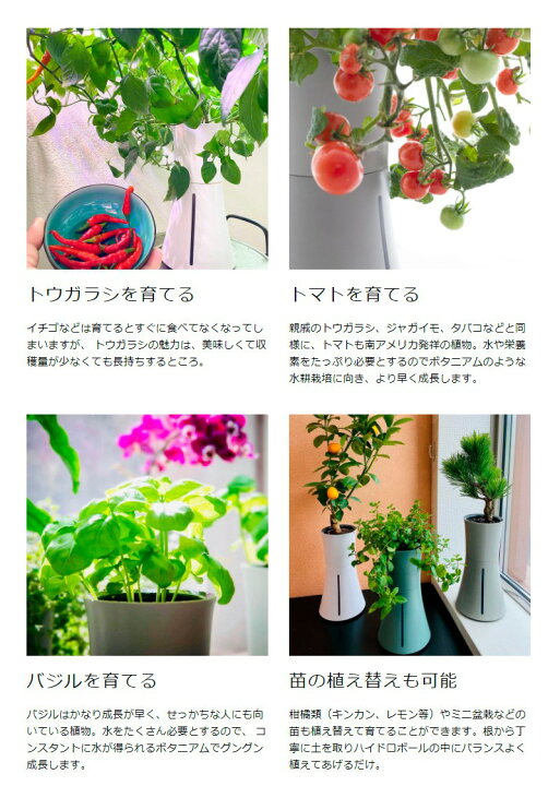 楽天市場 スマート水耕栽培キット ボタニアム 野菜 華 花 植物 飼育 部屋 家 料理 育てる 栽培 花瓶 植木 植木鉢 おしゃれ スマート 送料無料 リコメン堂インテリア館