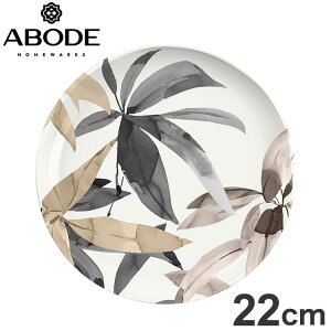o [uX T_v[g 22cm DN24086382 ABODE Homeware }[W(~/ou[t@Co[) 21.6×21.6×2cm 0~100 H@Ή RR i`(s)