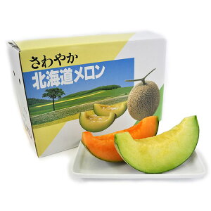 kC lߍ킹 Hi   Mtg 蕨  Hו l ̂ p v[g  20230210135(s)yz