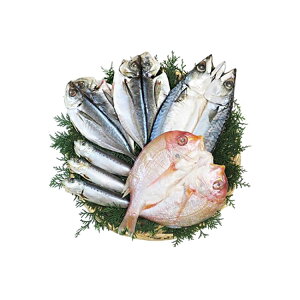 B銱4Zbg Ε ~Mtg N Nn NNn 񂹃O v[g l ̂ 蕨 j  䌩 Hi(s)yz