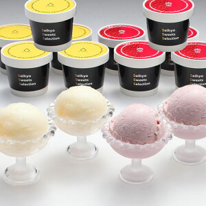 V  N`G V[xbg & zP ACXN[ l 10 ACX ACXN[ t[c X V[xbg fU[g XC[c Hi Mtg v[g  l ̂ 蕨