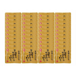 「三田屋総本家」 黒毛和牛の欧風ちょこっとビーフカレー中辛(40食) お歳暮 冬ギフト 年末 年始 年末年始 お取り寄せグルメ プレゼント 熨斗 のし 贈り物 お祝い 冠婚葬祭 御見舞 食品(代引