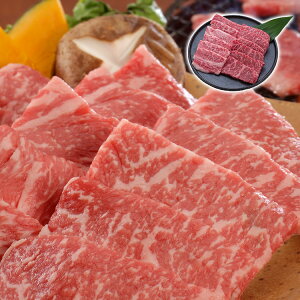  _˃r[t ē 91441E91421 Ε ~Mtg N Nn NNn 񂹃O v[g l ̂ 蕨 j  䌩 Hi(s)yz