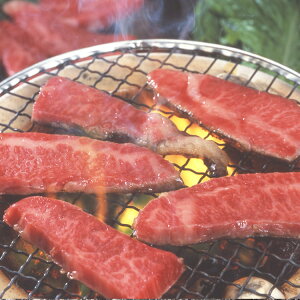 Yјaē 300g  Ε Mtg 蕨 v[g j LO  Hו  l(s)yz