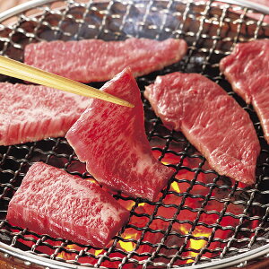  ˋ ē 300g  Ε Mtg 蕨 v[g j LO  Hו  l(s)yz