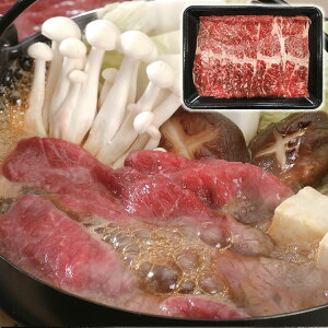 Yјa Ă 280g  Ε Mtg 蕨 v[g j LO  Hו  l(s)yz