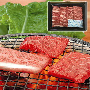 Yјa ē 400g  Ε Mtg 蕨 v[g j LO  Hו  l(s)yz