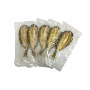  nƖ10N L 銱5 Ε ~Mtg N Nn NNn 񂹃O v[g l ̂ 蕨 j  䌩 Hi(s)yz