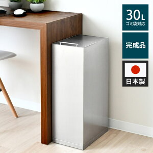 日本製 ステンレスダストボックス 30L袋用 スタイリッシュ ゴミ箱 スライド式 フタ付き 蓋付き シンプル ごみ箱 スリム おしゃれ 角型 リビング キッチン 台所(代引不可)【送料無料】