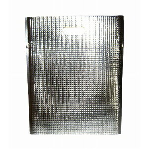 ۗEۉobO GXP[N[ Vo[(10)LC-M(s)yz