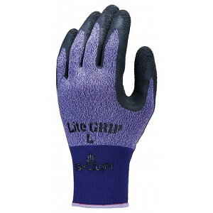 V[ CgObv No.341 L p[v(s)yz