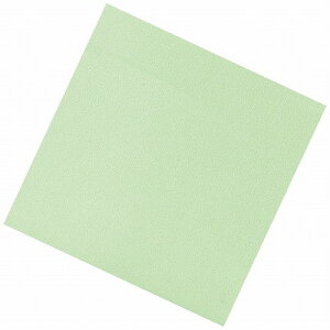 Fʑϖ(100)O[ TA-C09GN(s)yz