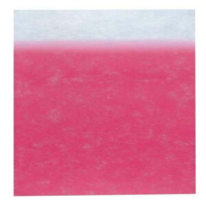  sDzV[g{JVsN(10) 900 RHL6501yz