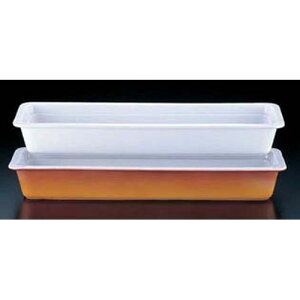 C 퐻 pKXgm[p PB625-24 2/4 zCg NGS0701yz