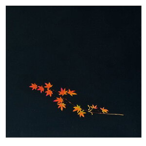 A[ebN OPNAlG Ԃ݂(200) OS-15-9 QKL092yz