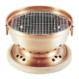 ATqTbh  YpR(t) QMZ19yz