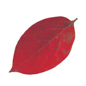 }R[ ^NAV[g(200) 65369 `̗t QKL2302yz