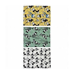 XP[^[ btn ӂ ^I Lb`NX 3Zbg ~bL[}EX KFWC3 Skater