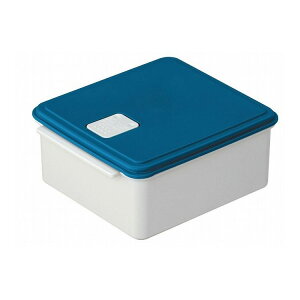 XP[^[ dqWX`[ ۑe u[ UDY1ST Skater