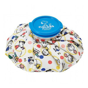 XP[^[ ACXobO X̂ ACVO MTCY s[ibc J[Y ICB2 LN^[  킢 Skater