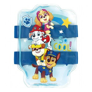 XP[^[ xgt ۗ pEEpg[23 CLBB1 LN^[  킢 Skater