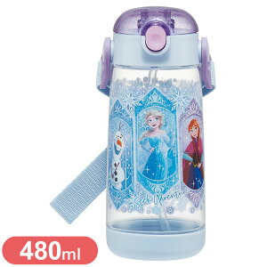 AiƐ̏25 XP[^[  LbY ^b` Xg[ {g NA 480ml AiƐ̏25 PDSH5 Skater